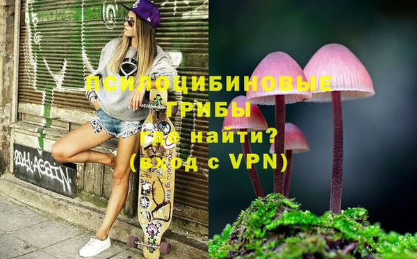 винт Инсар