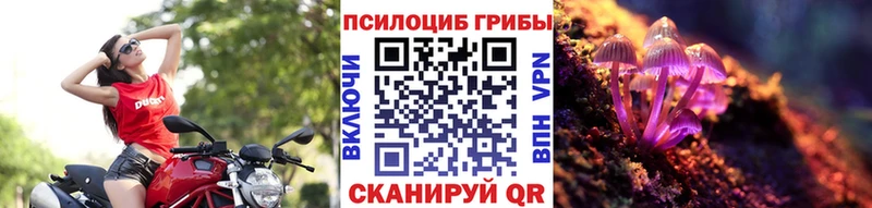 Купить где  Дербент  Псилоцибиновые грибы прущие грибы 