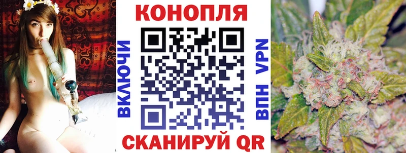 Канабис сатива  Купить где  Дербент 